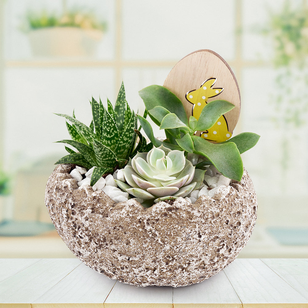 Easter Egg Rock Succulent - Gift Baskets Delivery