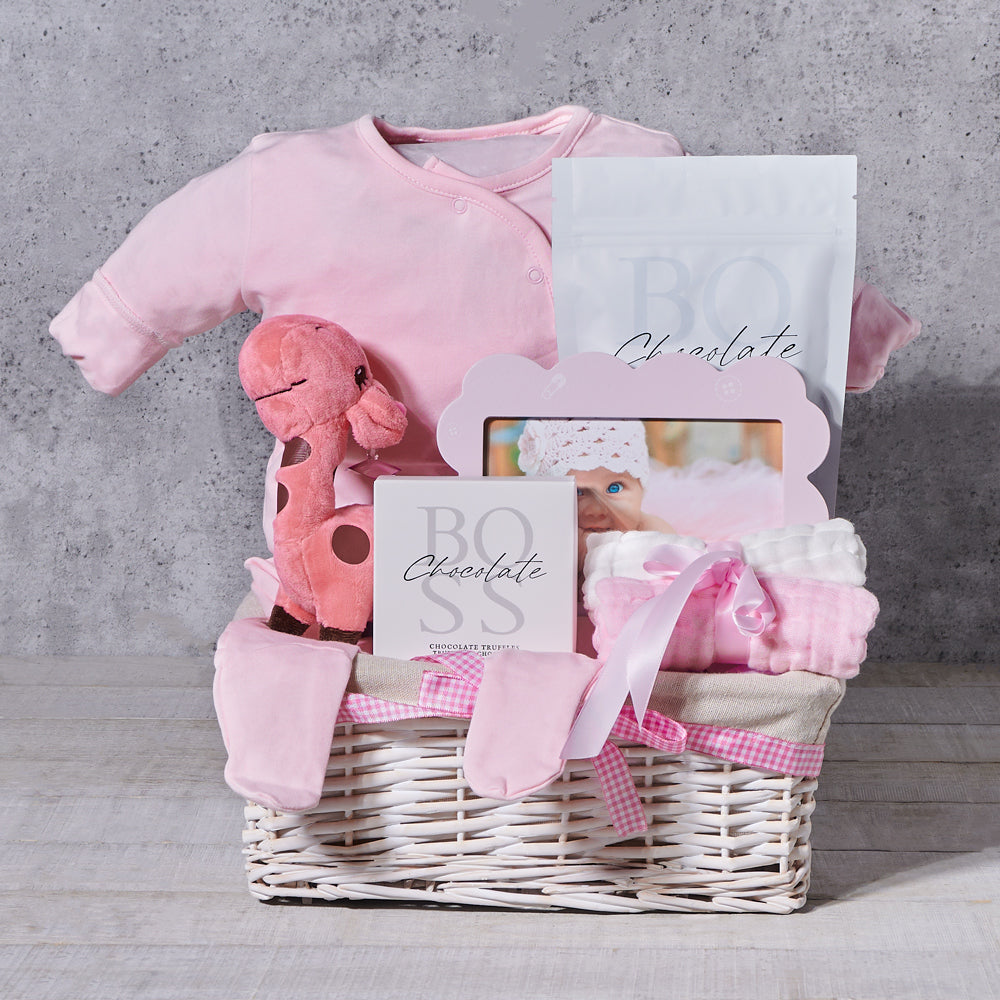 Very Cute Baby Girl Gift Basket - Gift Baskets Delivery