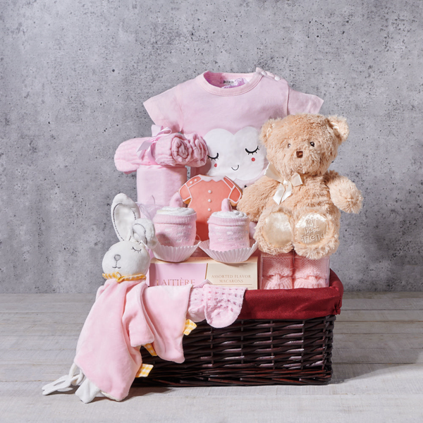 Entertaining Baby Girl Gift Basket - Gift Baskets Delivery