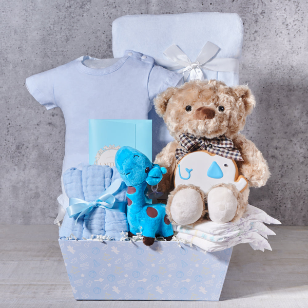 Plushies For a Baby Boy Gift Basket - Gift Baskets Delivery