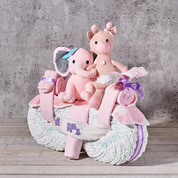 Wholesome Baby Girl Bike Gift - Gift Baskets Delivery