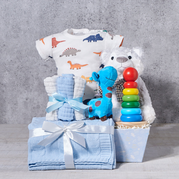 The Baby Boy Little Dinosaur Gift Set - Gift Baskets Delivery