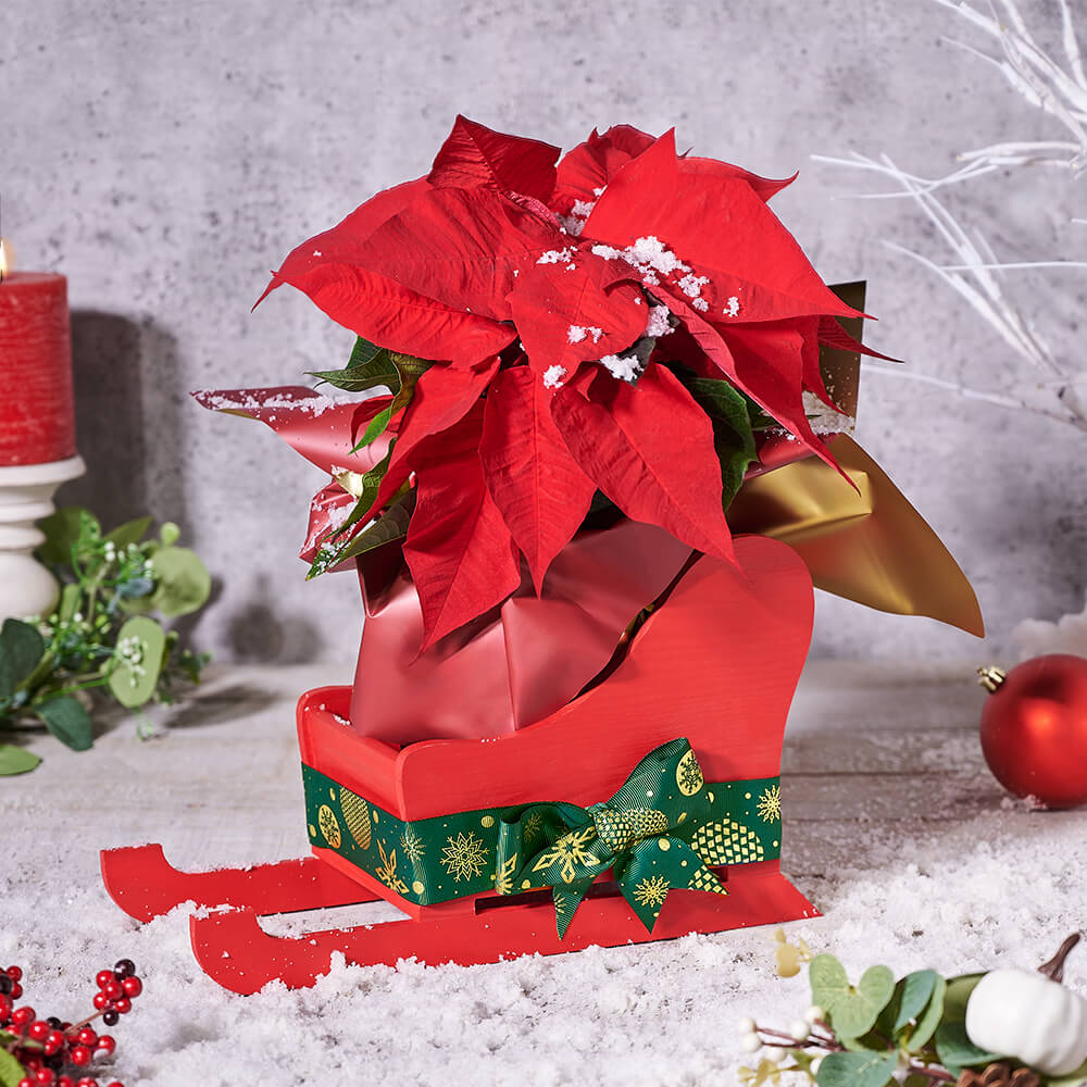 Festive Poinsettia Sleigh - Gift Baskets Delivery