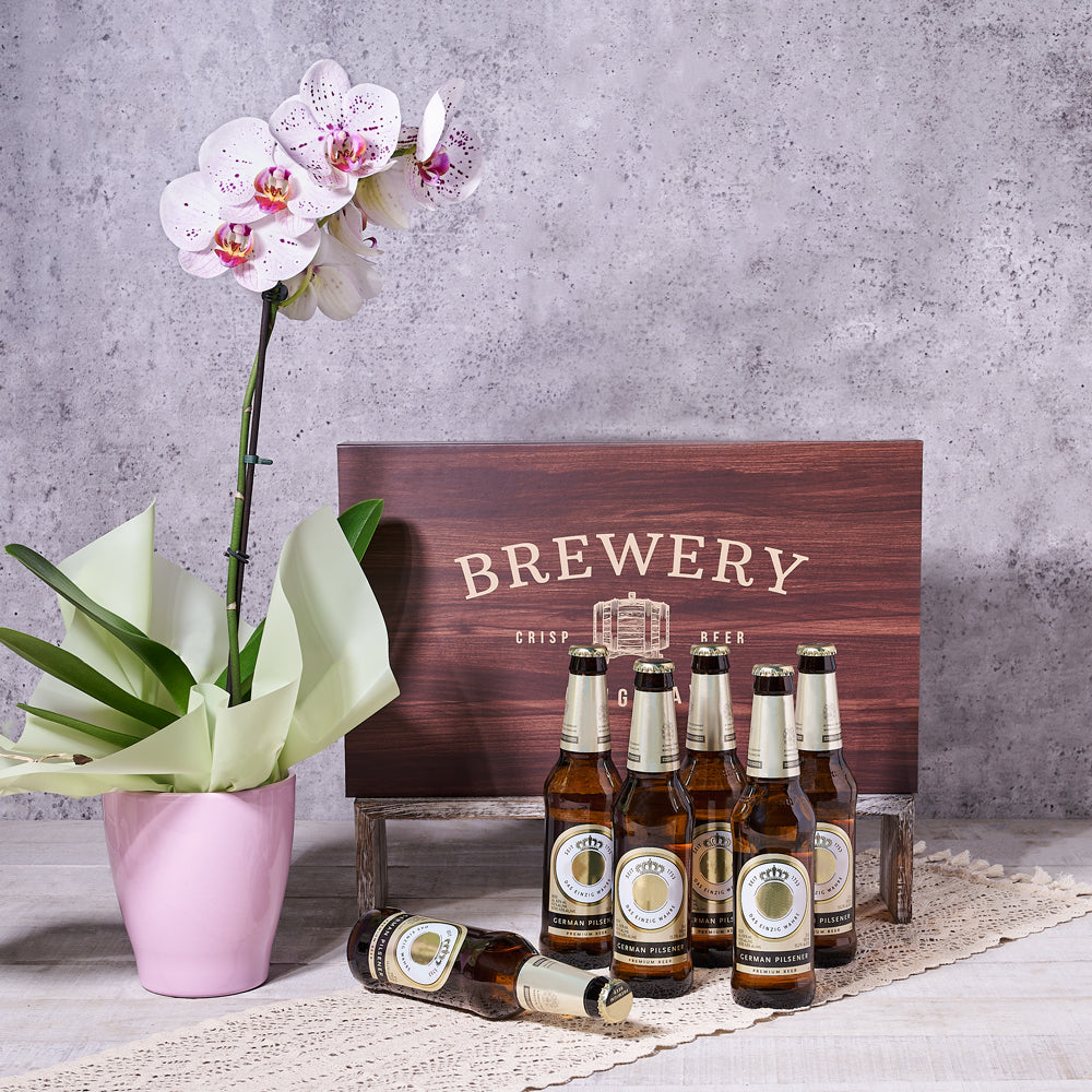 Cheery Orchid & Beer Gift - Gift Baskets Delivery