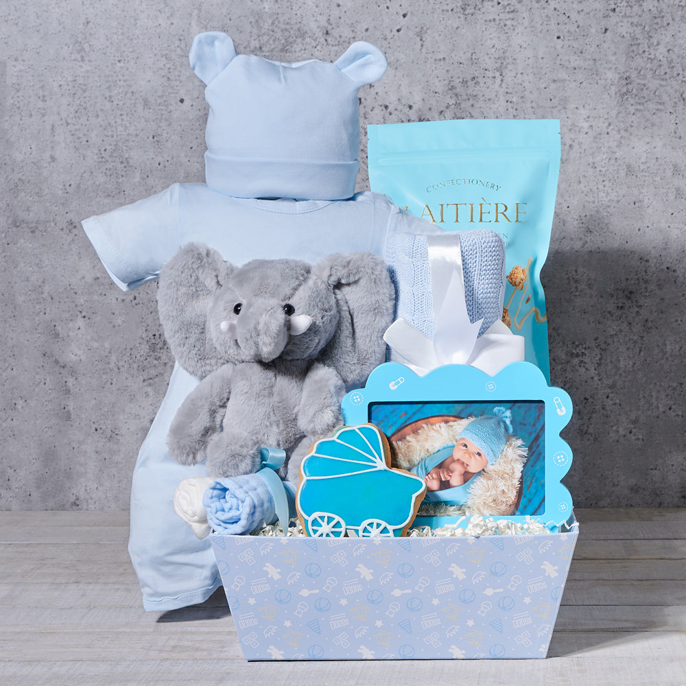 The Cuddles Baby Boy Gift Basket - Gift Baskets Delivery